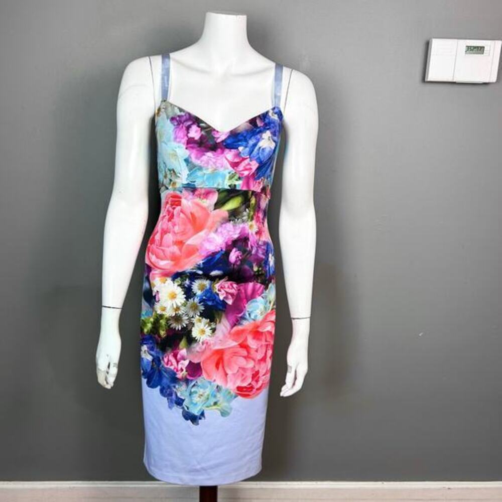 Ted Baker dress size 4 Pencil floral slip cocktail pin-up‎ coquette corset